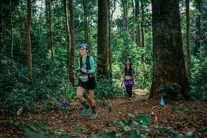 BIB: 
                            <button type="button" onclick="openModal(26100244)" class="btn btn-primary btn-sm float-right btn-popup" data-toggle="modal" data-target=".modal-high-quality">
                        <i class="fas fa-shopping-cart"></i> Add to Cart
                    </button>
                                            <button type="button" onclick="isThisMe(26100244, true)" class="btn btn-success btn-sm float-right btn-popup btn-isme hidden" data-toggle="tooltip" data-placement="bottom" title="นี่คือรูปของคุณใช่ไหม คลิกที่นี่เพื่อเอาเข้าอัลบั้ม">
                        <i class="fas fa-plus"></i> Add to album
                    </button>
                    <button type="button" onclick="isThisMe(26100244, false)" class="btn btn-warning btn-sm float-right btn-popup btn-isnotme hidden">
                        <i class="fas fa-ban"></i> Remove from album
                    </button>